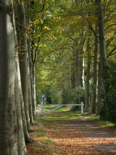 istock Having a stroll in nature or the forest. 2200176097