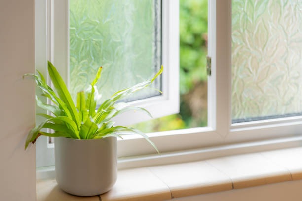 istock Interior windowsill with a potted plant 2200178431