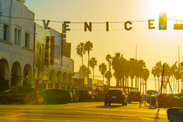 450+ Venice Beach Sign Stock Photos, Pictures & Royalty-Free