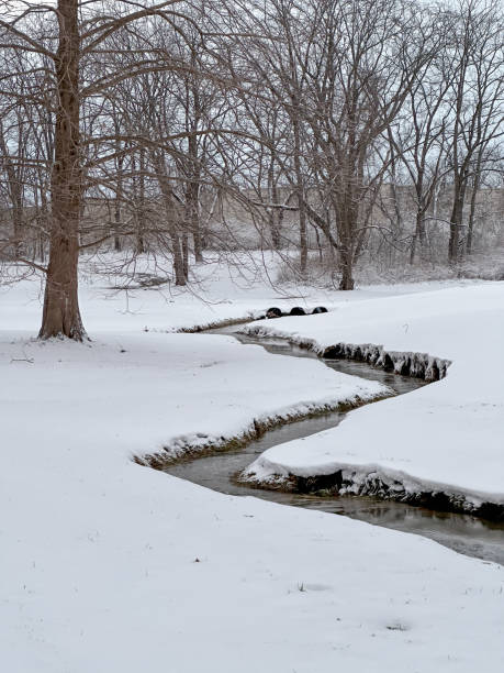 creek stream water after a snow storm