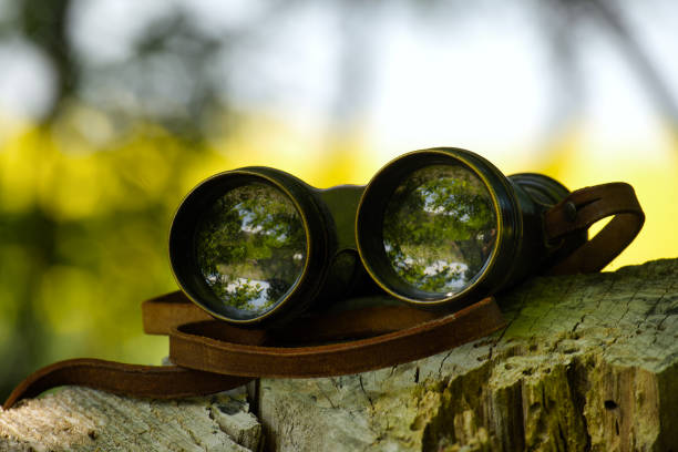 istock Vintage Binoculars on a Wooden Surface with Nature Reflections in Lenses 2200181780