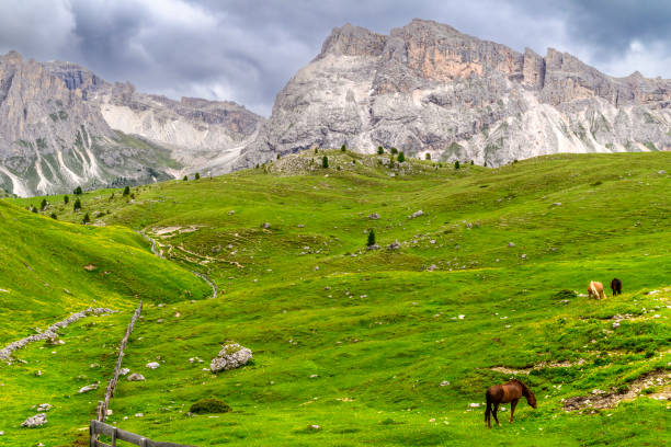 Stevia Massif seen from the Seceda meadows in the Domites during springtime in the Italian Alps. Horses are grazing on the meadows in the foreground.