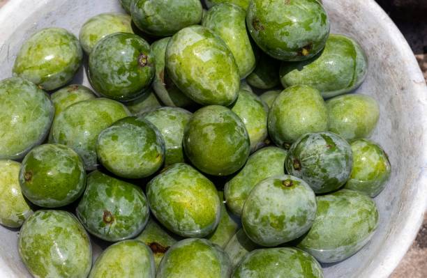 istock Top View of Raw and Half Ripe Mango Heap in Horizontal Orientation 2200183266