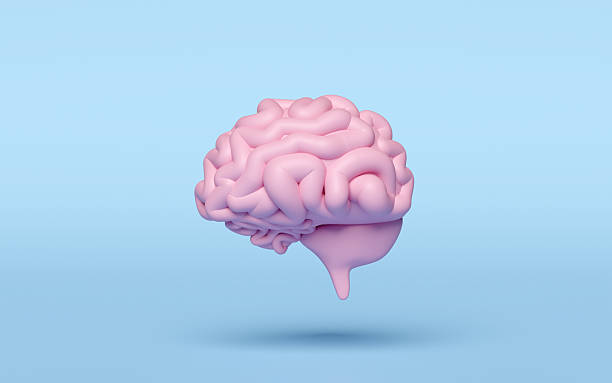 istock 3d pink brain icon isolated on blue background. 3d illustration render 2200183482