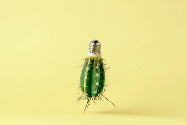 istock Hybrid object combining a cactus and a light bulb against a yellow background. Concept of renewable energy, creativity, innovation, and nature. 2200184839