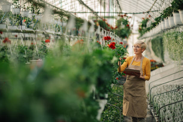 istock Old botanist with checklist at hothouse checking on her vertical garden 2200186370