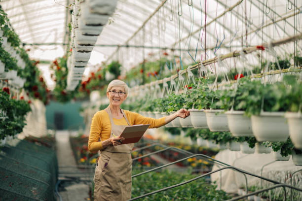 istock Old florist with clipboard in hothouse smiling at the camera. 2200186374