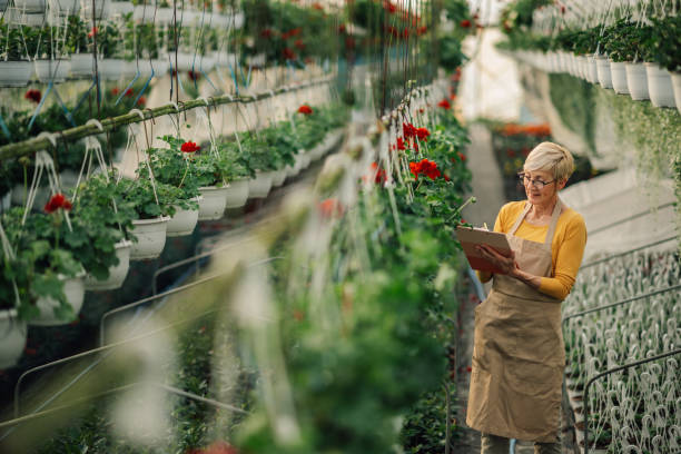 istock Old florist in hothouse writing down in clipboard and checking flowers 2200186379
