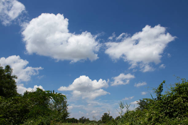 Admire the lush agricultural fields of the Po Valley, where vibrant crops stretch under a sky adorned with clouds