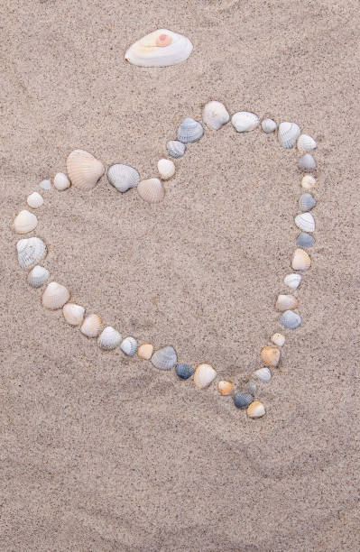 istock Heart made from seashells on the beach 2200188257