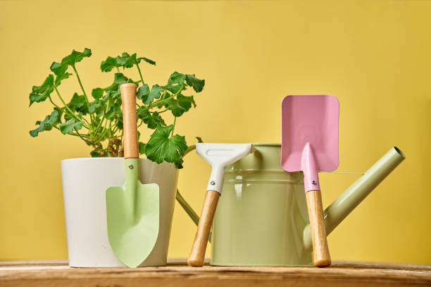 istock Gardening tools and potted plant against yellow background 2200188705