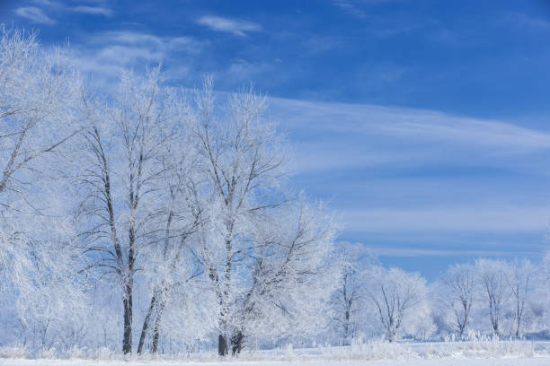 istock Winter, Frosted Trees at Sunrise 2200197634