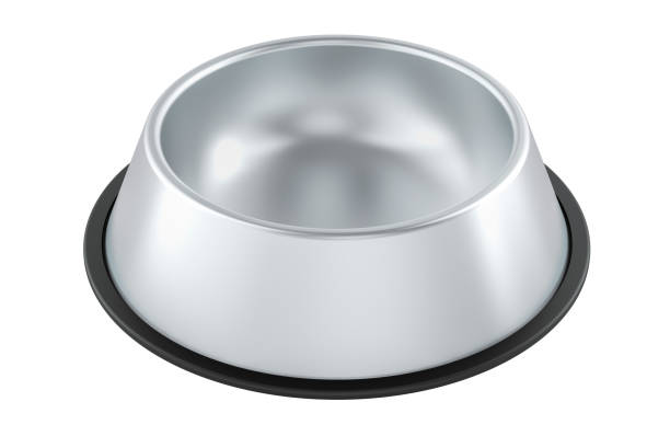 istock Stainless Steel Dog Bowl with Rubber Base, 3D rendering 2200202501