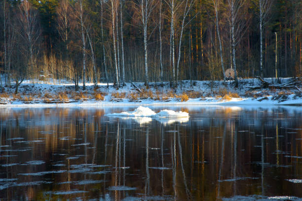 A winter river scene with floating ice chunks, calm water reflecting leafless trees, and a snowy riverbank in the background.
