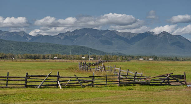 istock Buryat wooden fences 2200205046