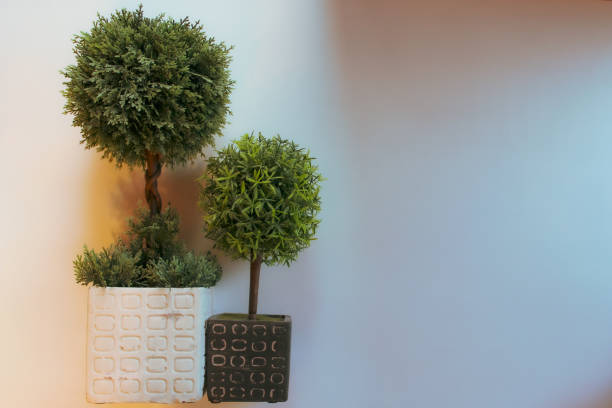 boxwood topiary artificial plants in pots isolated on white home decor background with space for copy