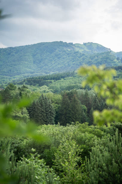 istock A landscape with a view of mountains covered with forest. 2200207031