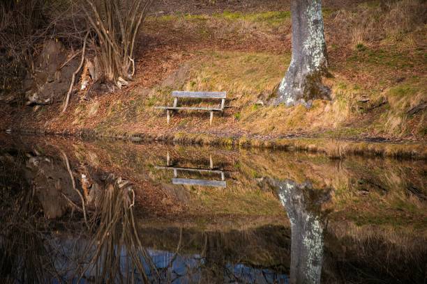 istock small rural pond on a cold autumn day 2200207907