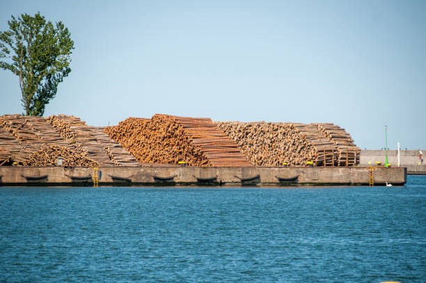 Aerial view of a log stacker vehicle picking up logs among stacks of lumber at a lumberyard.