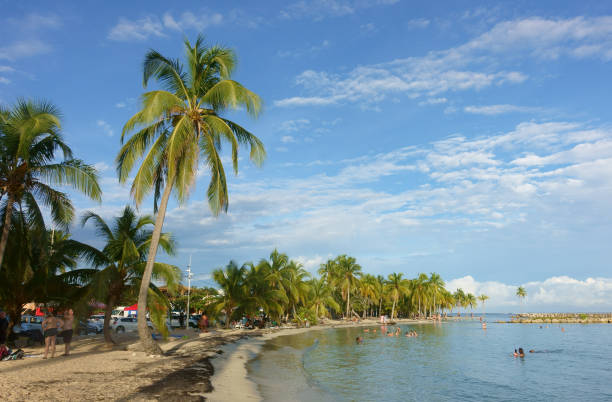 Guadeloupe, Sainte-Anne - November 25, 2024: swimmers enjoying the sunset on the beach of Sainte-Anne, a touristic town located in the Grande-Terre area of Guadeloupe.