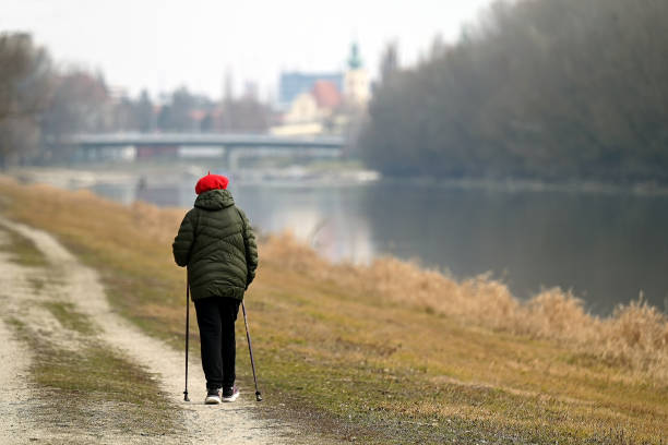 Győr, Hungary - February 16 2025: Elderly woman enjoying Nordic walking near the Moson Danube river in winter