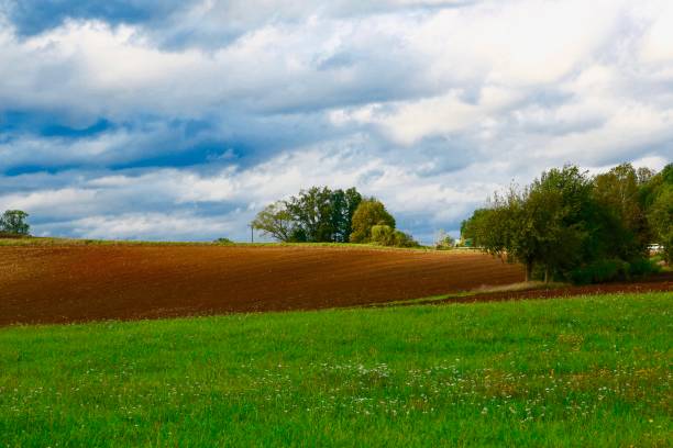 Nature, beautiful green Field, postcard, background,