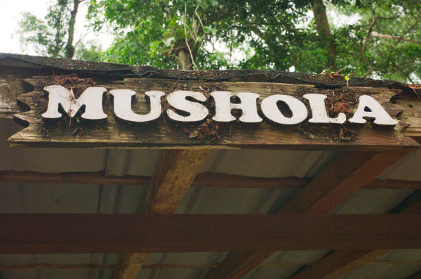 A serene image of a wooden Mushola sign, under a corrugated roof with lush greenery surrounding, symbolizing tranquility, spirituality, and natural simplicity