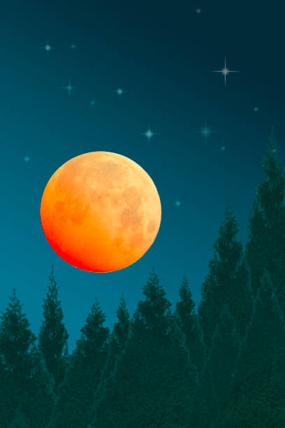 Orange Full Moon with Evergreen Forest and Starry Night Sky - Copy Space - Poster, Wall Art, Wall Decor, Wall Hanging - Tranquil scene, Serenity, Atmospheric Mood.  Elements of this image are provided by NASA. Source: https://science.nasa.gov/resource/supermoon-2014/