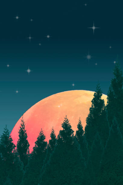 Orange Full Moon with Evergreen Trees and Starry Night Sky - Copy Space - Poster, Wall Art, Wall Decor, Wall Hanging - Tranquility, Serenity.  Elements of this image are provided by NASA. Source: https://science.nasa.gov/resource/supermoon-2014/
