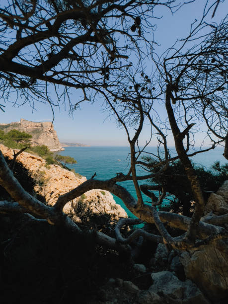 istock Rocky Spanish coastline featuring gnarled trees framing turquoise waters against dramatic cliffside landscape, highlighting coastal wilderness and natural textures 2200227465