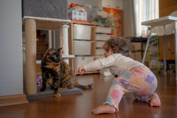 istock Curious Toddler Reaching for a Cat at Home 2200233508