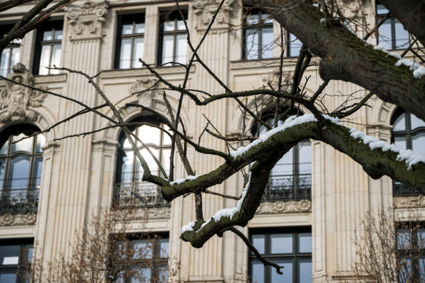 istock Beautiful winter snow covering branches against an elegant building facade 2200233608