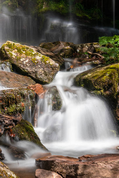 istock Water cascades over moss-covered rocks in a tranquil forest setting during early morning light 2200235334