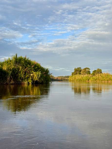 istock Mouth of the river 2200237059