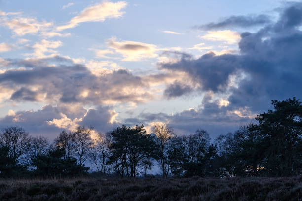 Pesse, Netherlands: A golden sunset illuminates dramatic clouds above the heathland of Nuilerveld, a serene and natural landscape.