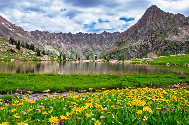 istock Alpine Lake and Mountain Wildflowers 2200239115