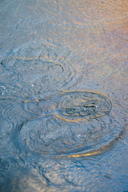 istock ripples on water with golden reflections. 2200240027