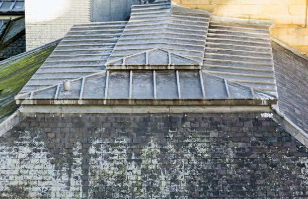 Close up view of a rood detail