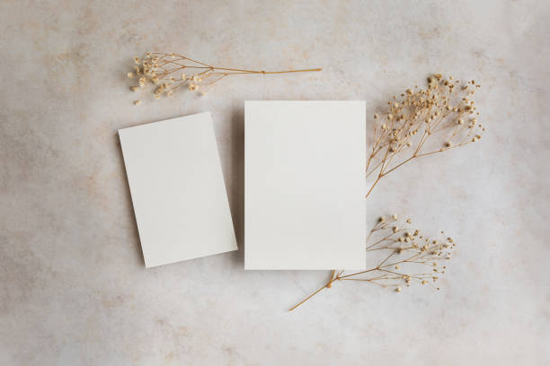 istock Two blank cards mockup with dried flowers 2200243964
