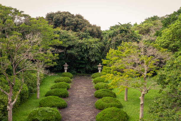 istock Serene Stone Pathway with Symmetrical Green Bushes Leading into Dense Forest Jeju Island 2200246829