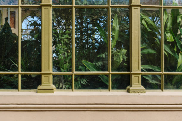 View of a greenhouse interior with lush green plants thriving behind a large window