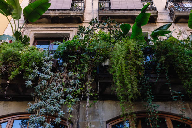 Vibrant green plants overflow from a balcony, creating a natural curtain against a building in barcelona