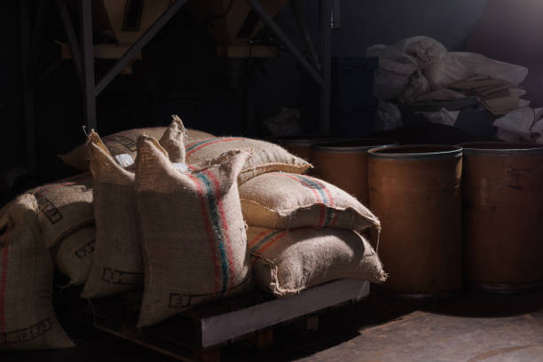 istock Large burlap sacks filled with raw green coffee beans, prepared for processing and roasting 2200250518