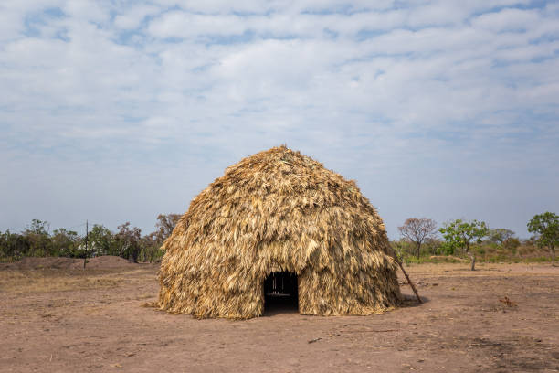 The Tirecatinga Indigenous Land, demarcated in 1983, covers an area of 130,575 hectares in one of the regions where agribusiness is strongest in Brazil. The territory is bordered by the Papagaio and Buriti rivers, which make up the Juruena River basin and flow through the region where the Nambikwara, Terena, Paresi, and Manoki peoples live.The Nambiquara are a Brazilian indigenous people. They are located in the west of Mato Grosso and in Rondônia, inhabiting both the cerrado and the Amazon rainforest, as well as the transitional areas between these two ecosystems. Their language belongs to the Nambiquara language family. They are famous in the history of Brazilian ethnology for having been “officially” contacted by Marshal Rondon and for having been studied by the renowned anthropologist Claude Lévi-Strauss.