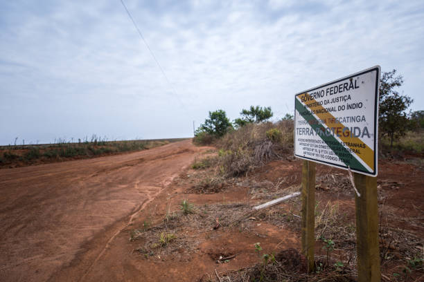 istock Tirecatinga Indigenous Land  - Sapezal, Mato Grosso (Brazil) 2200252466