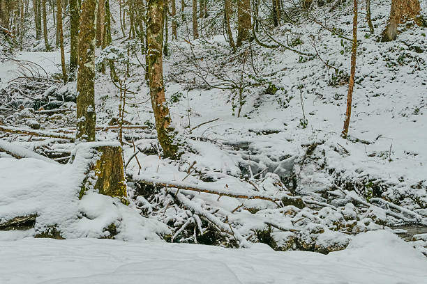 istock River Frillenseebach in snowy Landscape 2200256266
