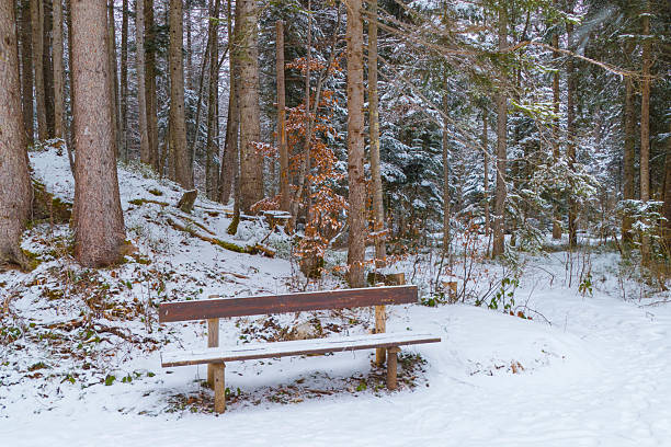 Hiking in Winter