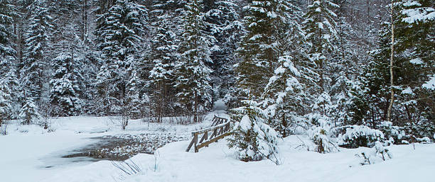 Snowy Lake Frillensee in Inzell Germany