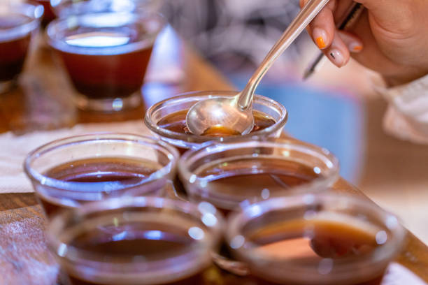 istock Tasting and classifying coffee, at Manhumirim municipality, Minas Gerais State (Brazil) 2200257033