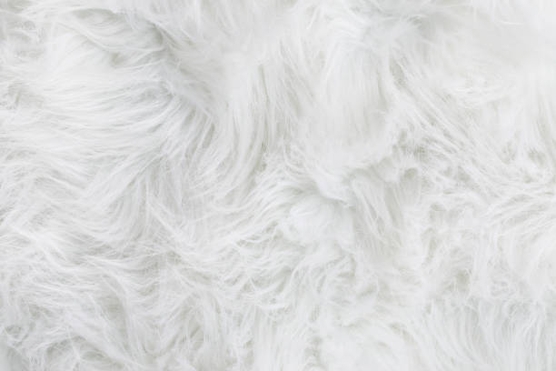 istock Full frame of soft fake white fur rug 2200257119